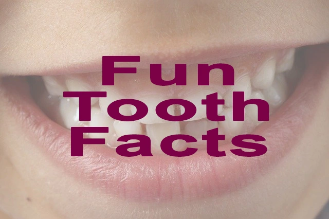 Fun Facts About Kids Teeth
